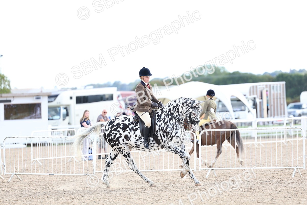 SBM_17243 - Class 315 - Best Horse - Rider Combination