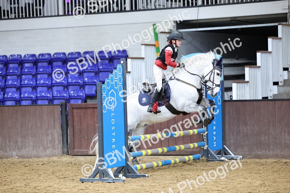 SBM_001203 - Class 3 - Christmas Tree Stakes - 60cm