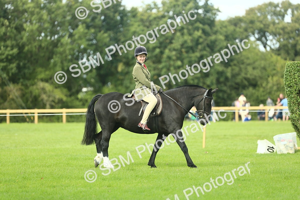 SBM_44861 - Working Hunter Pony Supreme Championship