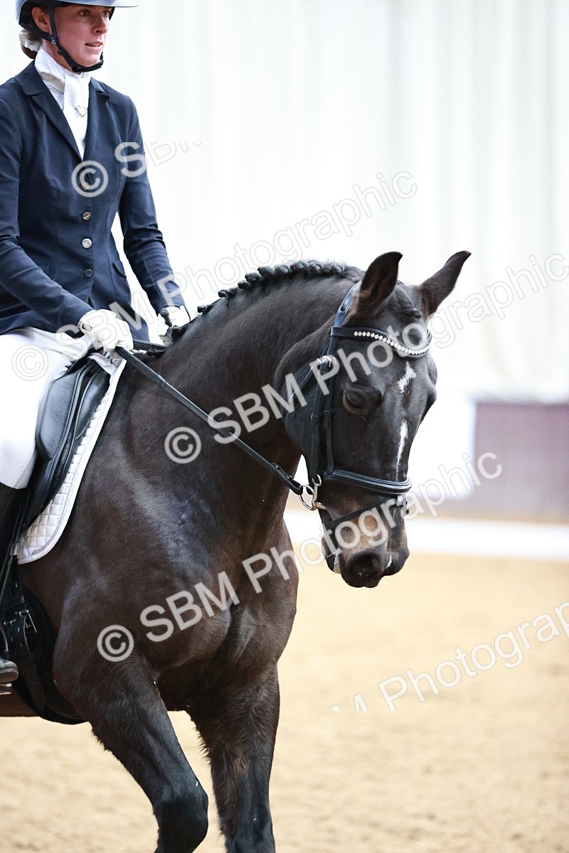 SBM_000508 - Ele 4
