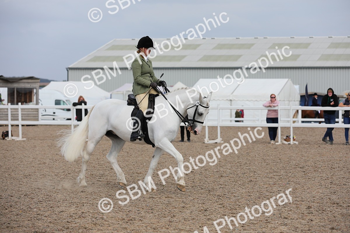 SBM_17790 - Class 315 Best Horse/Rider Combination