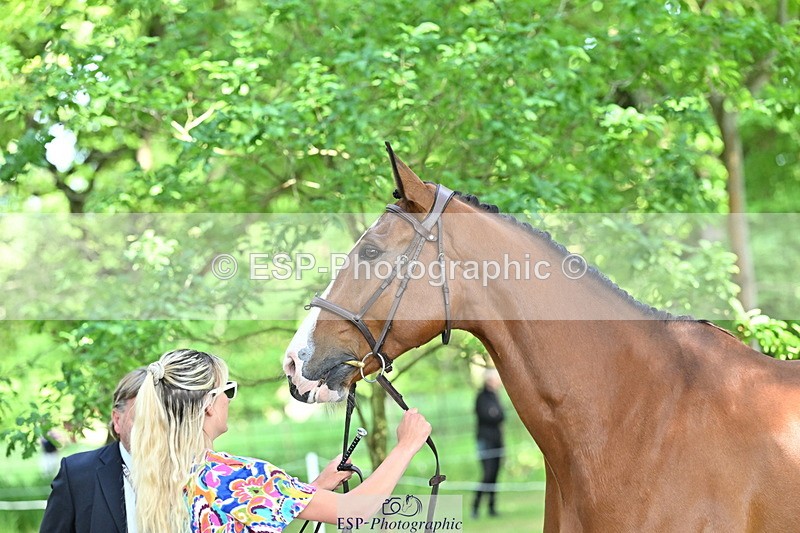 250521A-163354-01219 - C-233-Abbie.Burbidge-FEELING.FANTASTIC