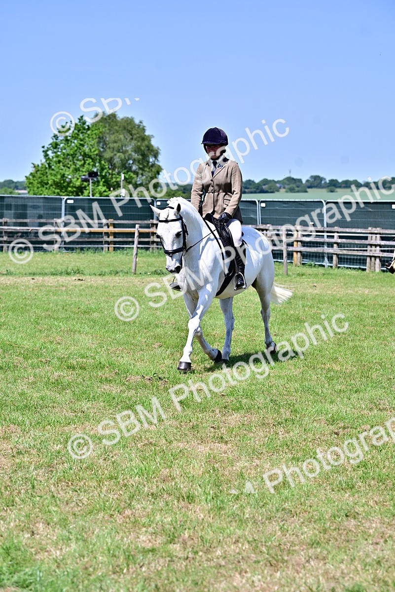 SBM_17548 - Class 95-97 - BSPS LHS Performance Ponies