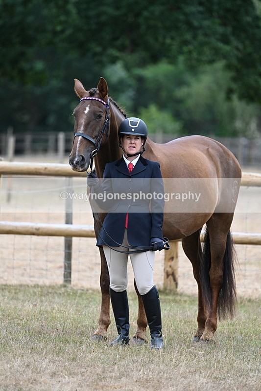 WJ7_9844 - Class 5a Most Handsome Gelding (above 14.2hh)