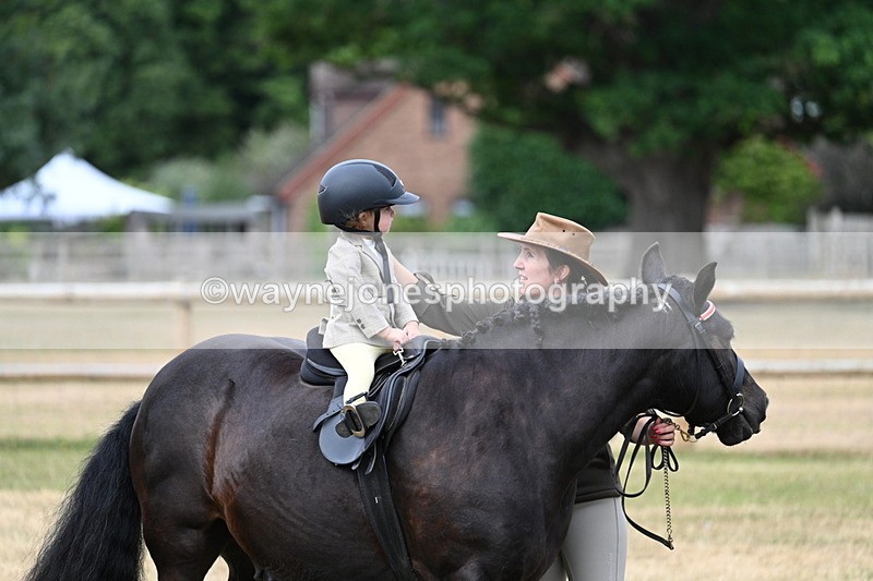 WJ7_9792 - Class 1 Lead Rein Pony