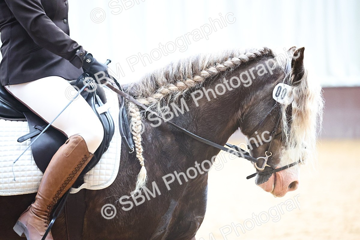 SBM_004795 - Class 2 - Prelim 4-5