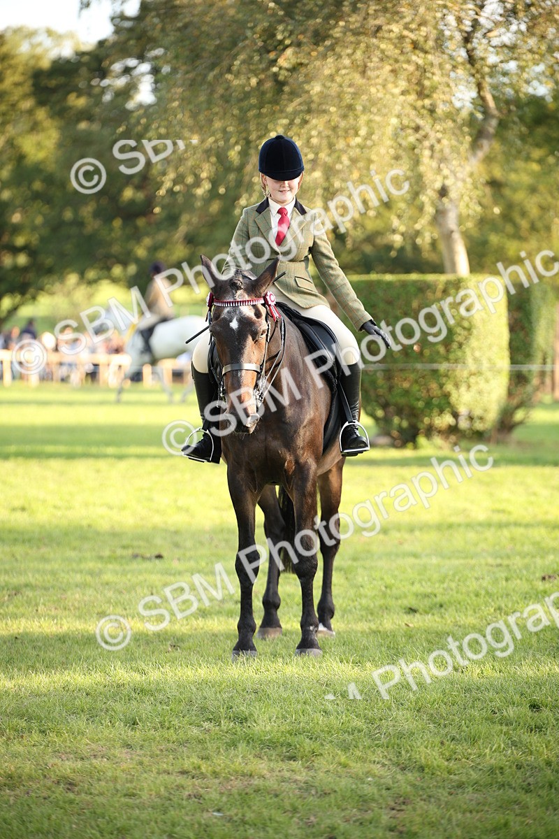 SBM_54455 - S27 - Mature Veteran - Ridden