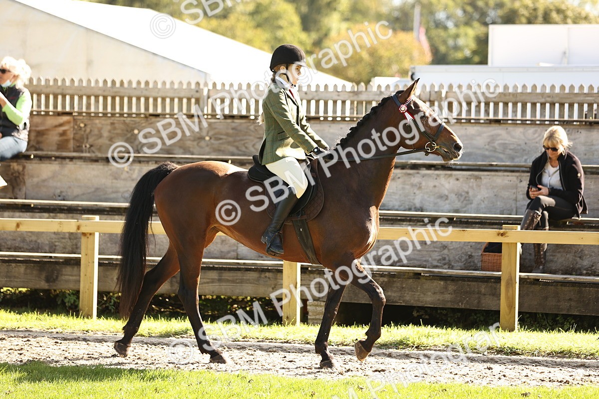 SBM_16989 - S2 - TSR Ridden Pony Showing