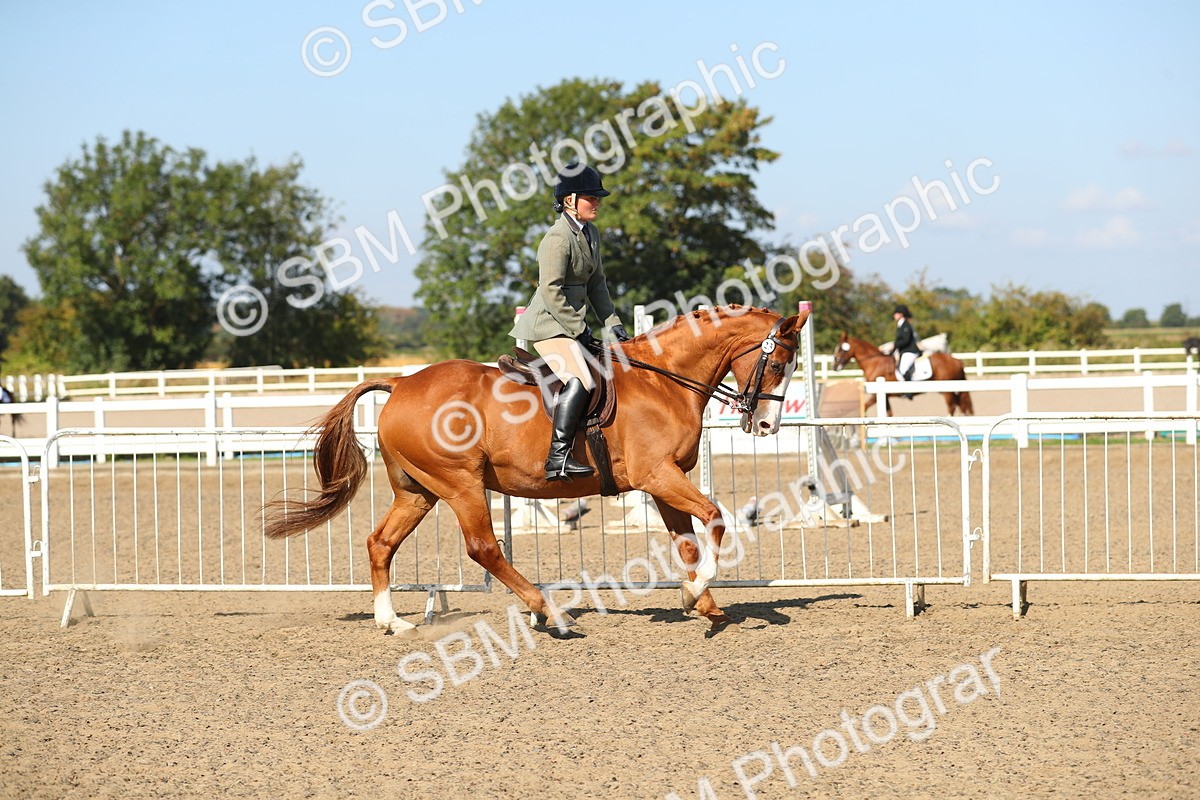 SBM_02221 - Class 43 Ridden Competition Horse/Pony
