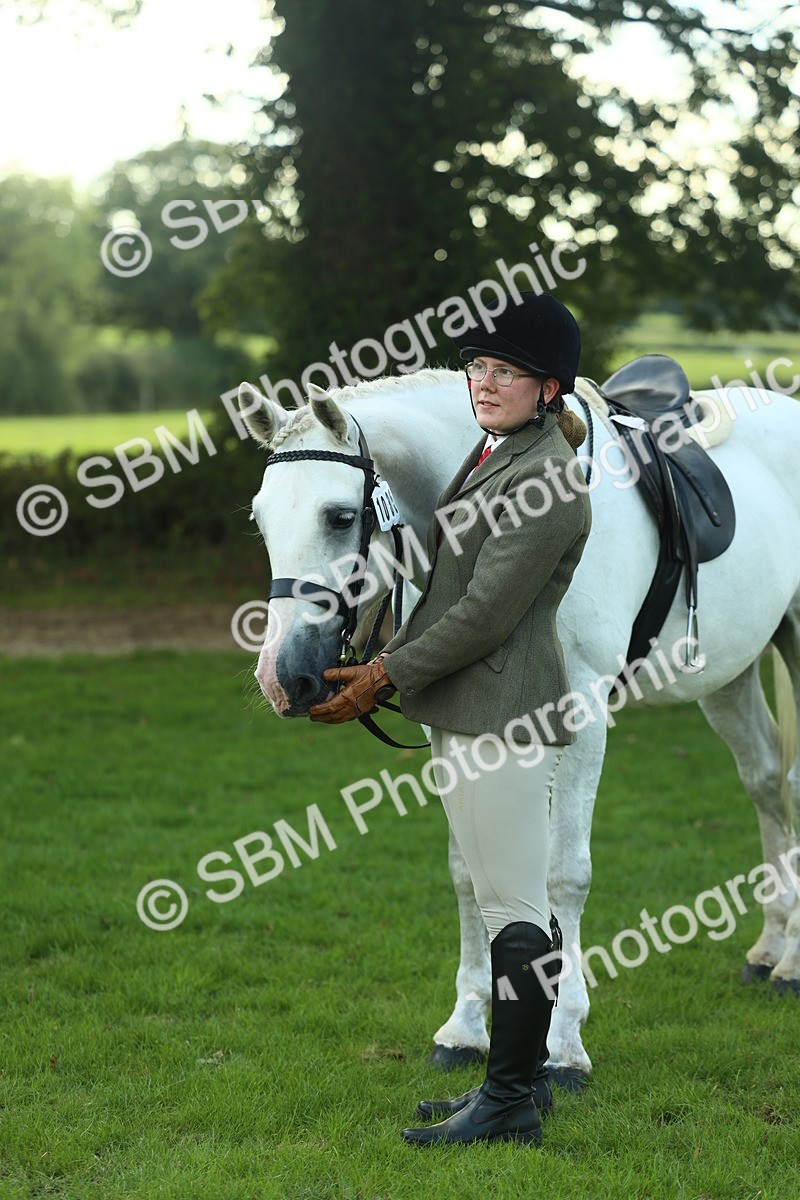 SBM_50730 - S33 - Working Hunter & Working Show Horse