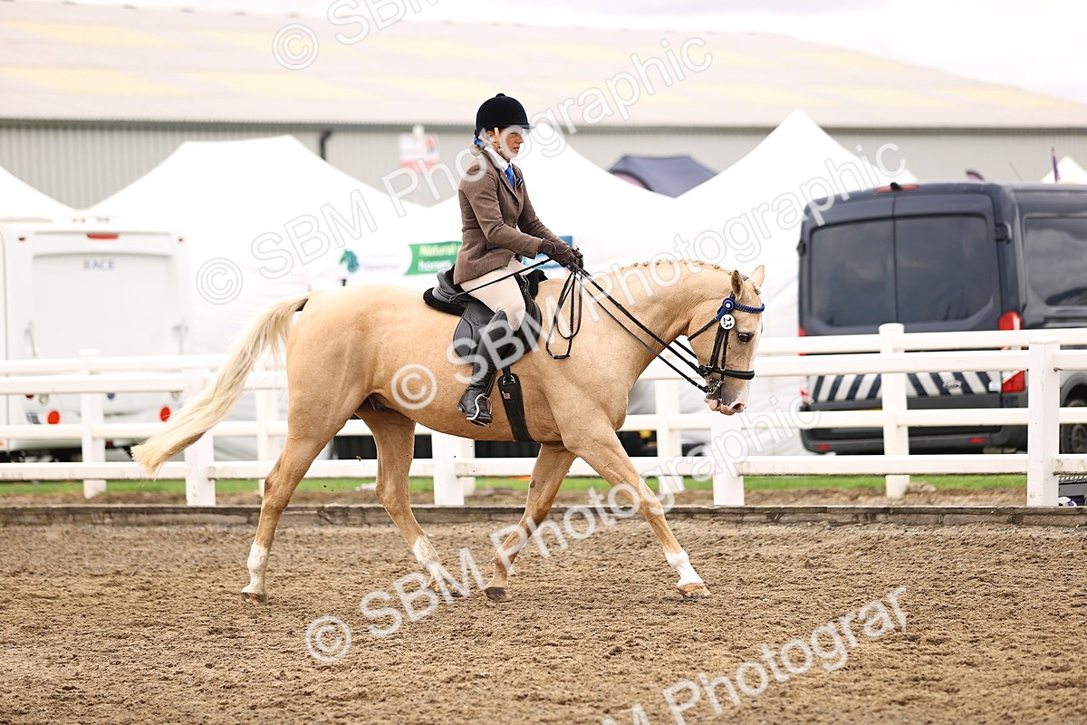 SBM_01331 - Class 54 - Riding Club Horse Pony