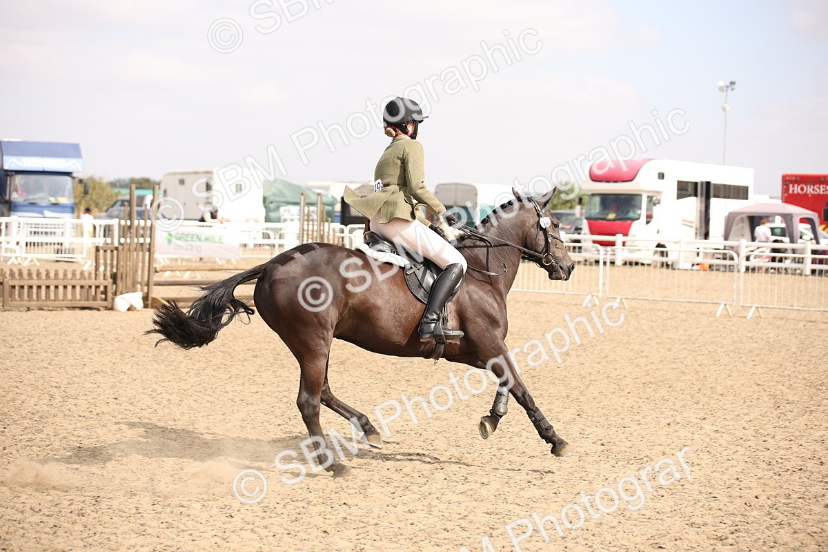 SBM_14971 - Class 408a - Working Veteran 70cm (15-19