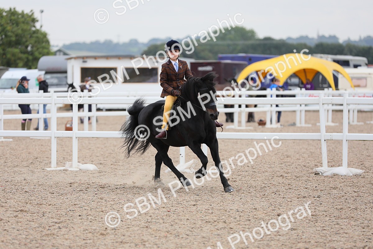 SBM_18146 - Class 316 Best Pony/Rider Combination