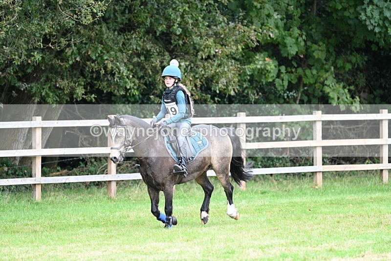 WJ7_7517 - 40cm Time 10:27 to 10:47