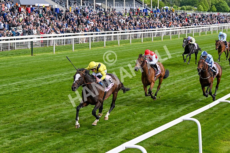 150526-Race 5-Rahiebb-0292 - Race 5 4.05pm Boodles Yorkshire Cup Stakes