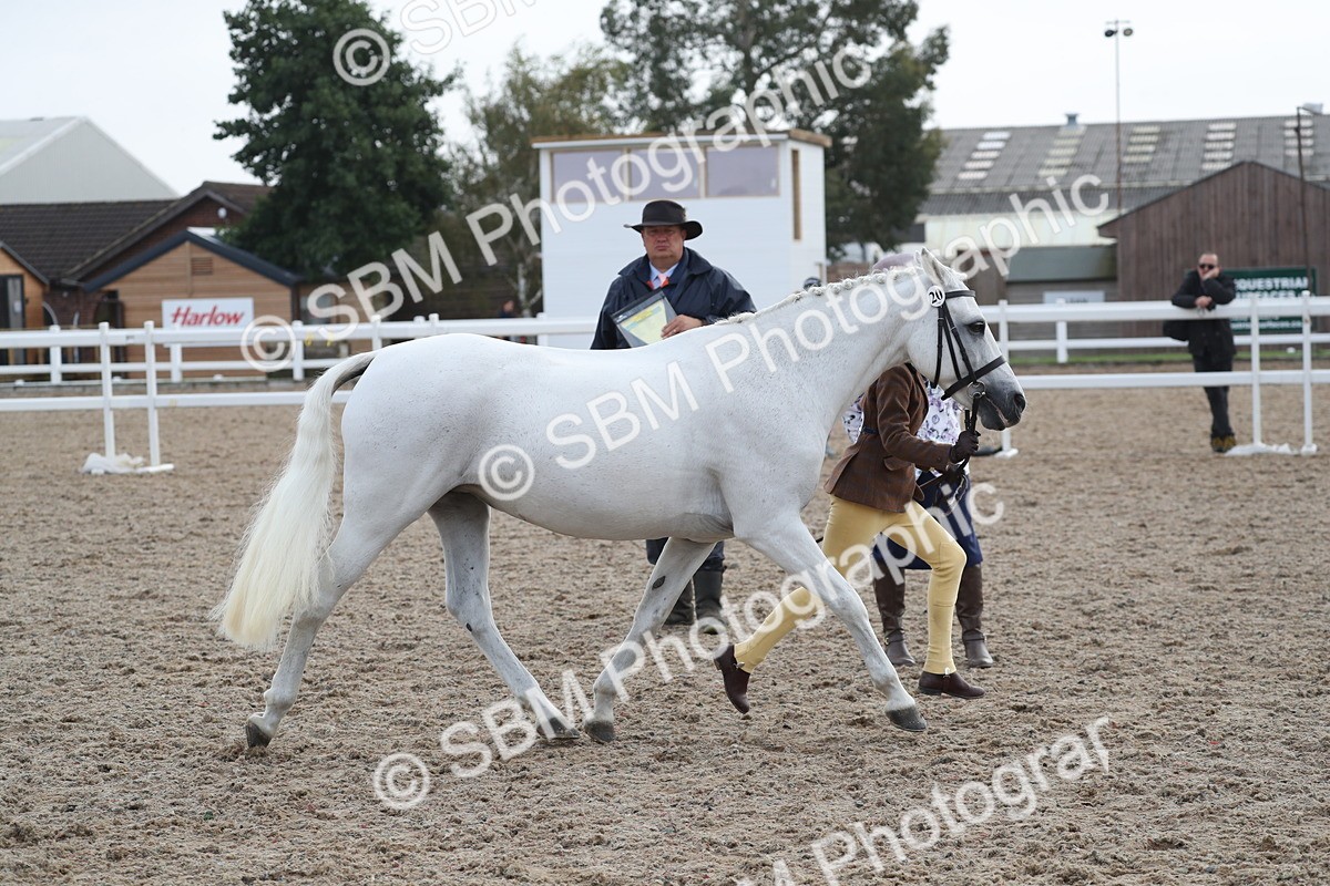 SBM_23138 - Class 605 - 2025 Area - IH Veteran