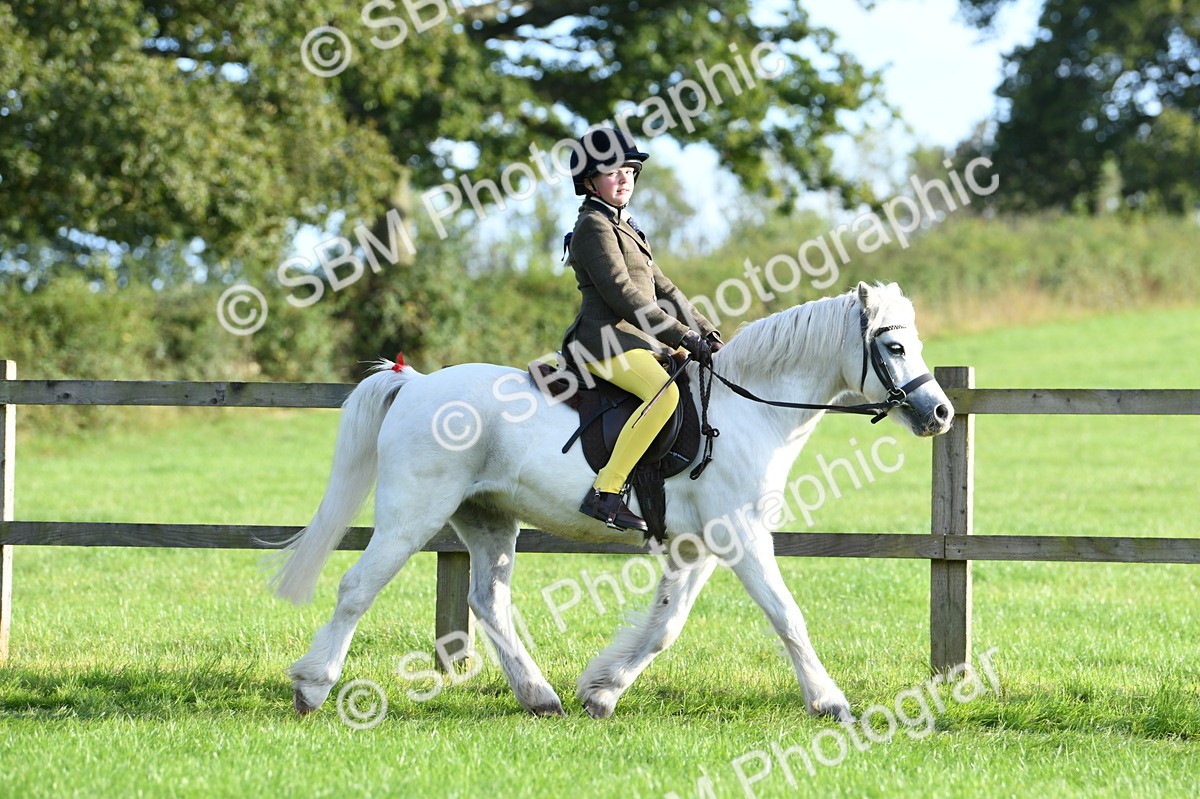 SBM_53987 - S23 - 1st Ridden Mountain & Moorland Pony
