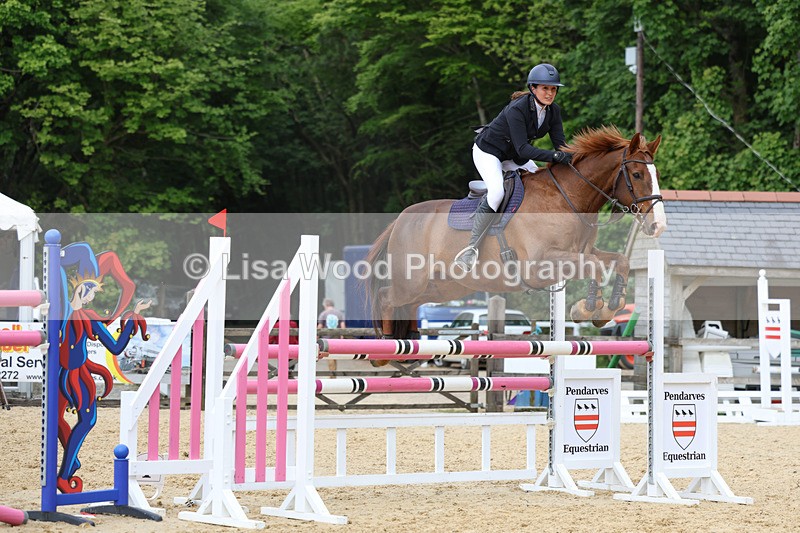 3E7A7472 - Class 8: Senior Foxhunter/1.20 open