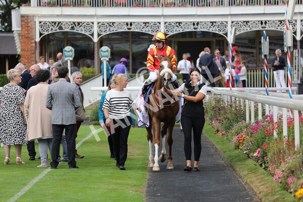 yr23072022r2-42 - Race 2 2.40pm Sky Bet Dash