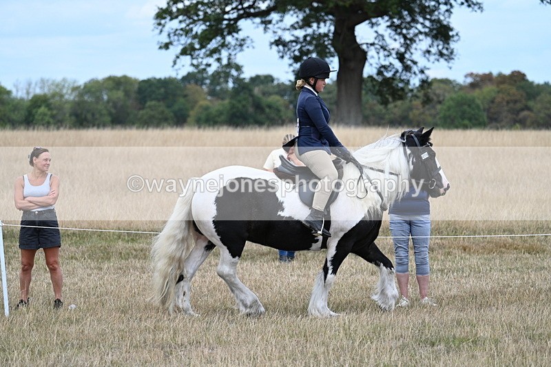 WJ7_4810 - Class 12 Ridden Cob