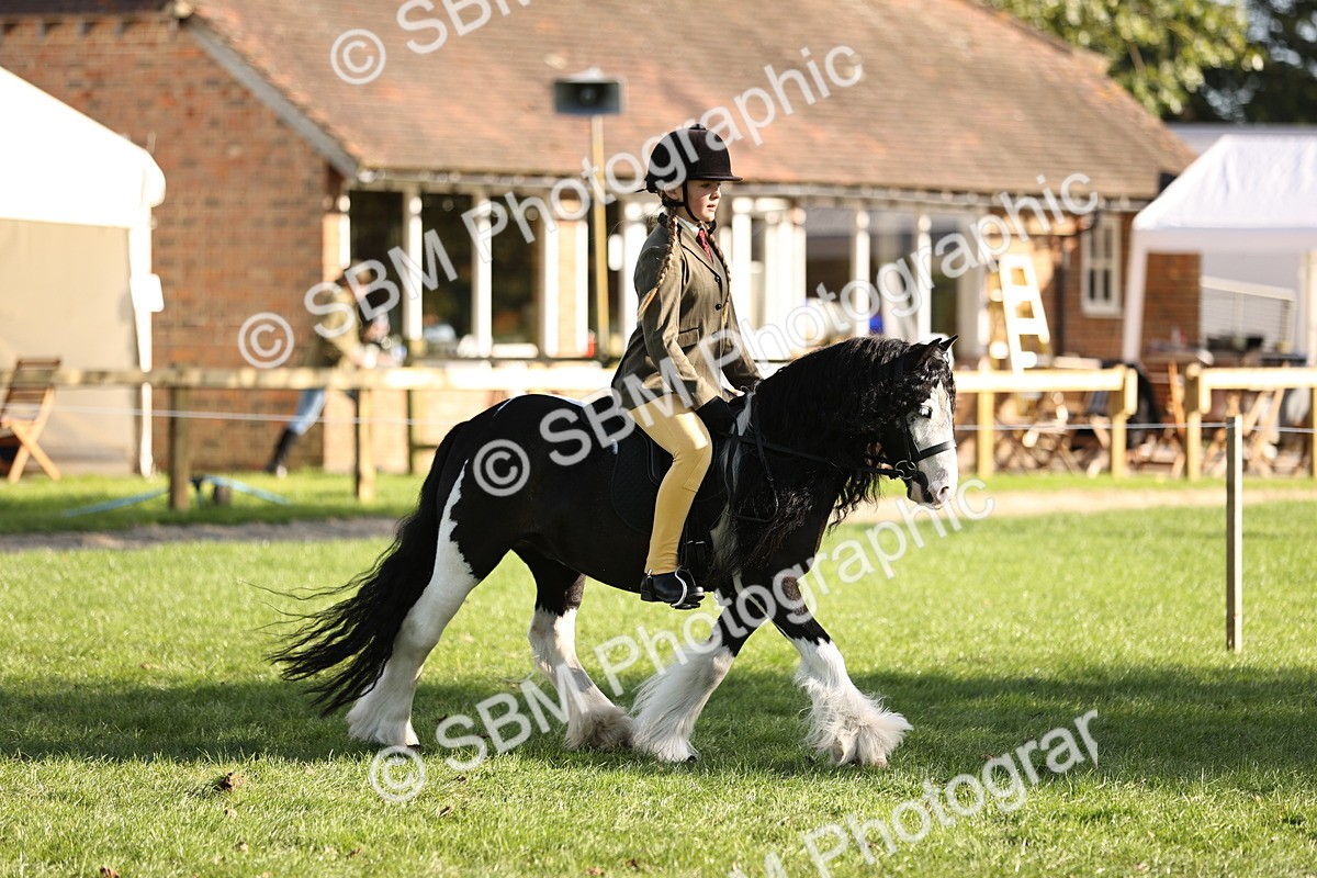 SBM_29305 - S7 - Novice & Newcomers Ridden Pony