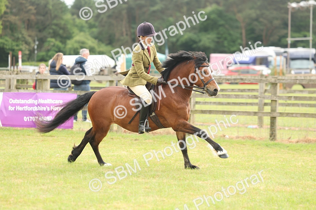 SBM_09136 - Class 78-80 - Ridden M&M Non Welsh Ponies