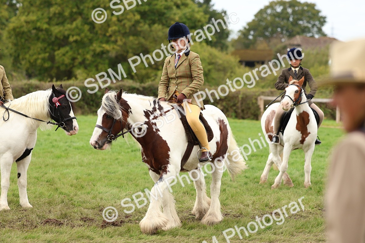 SBM_64654 - S58 - Coloured Pony Ridden