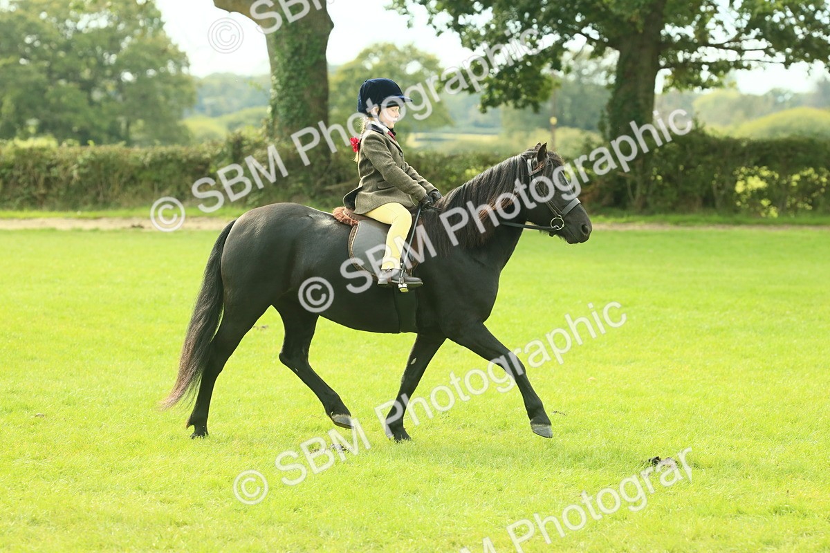 SBM_69794 - S59 - Mountain & Moorland Ridden Small Breeds