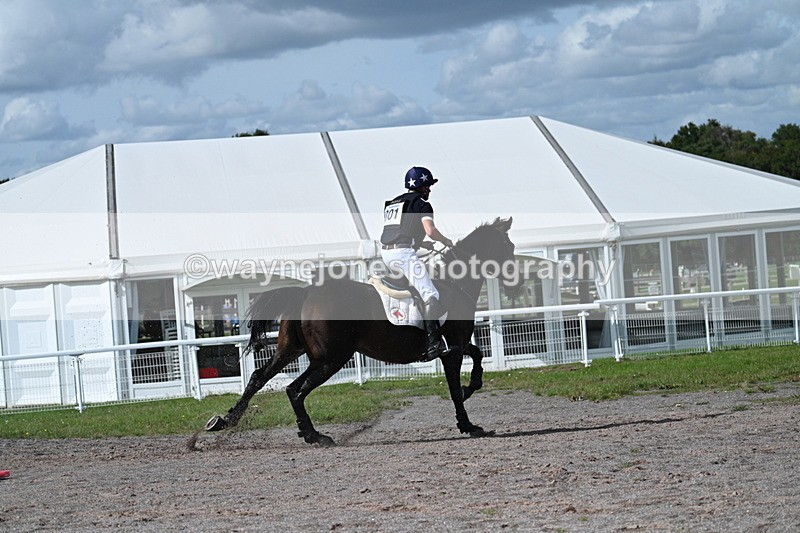 WJ7_2126 - Time 13:17 to 13:53