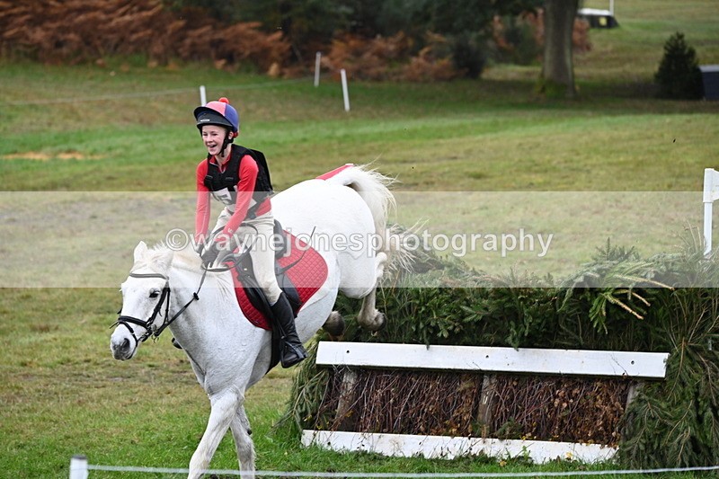 WJ6_2684 - 80cm Cam 1 Time 11:23 to 12:04