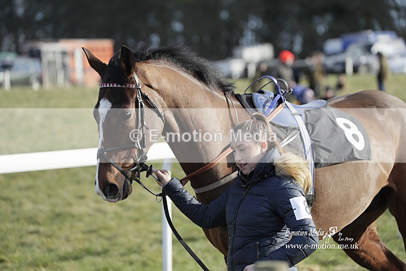 PtP 260223 982 - South & West Wilts Point-to-Point Larkhill 26/02/23