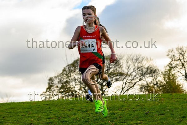 NatRel25-913269 - Young Female Set One