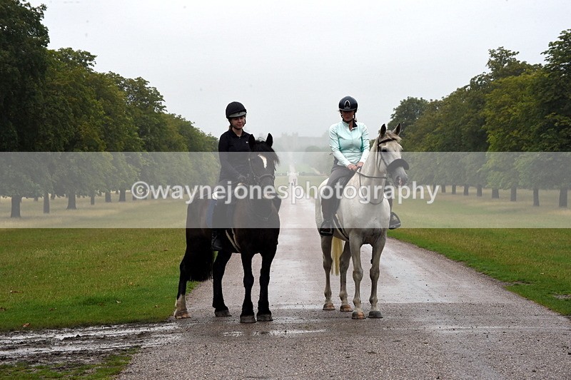 TT3_8368 - Time at Crossing 10:16 to 11:38