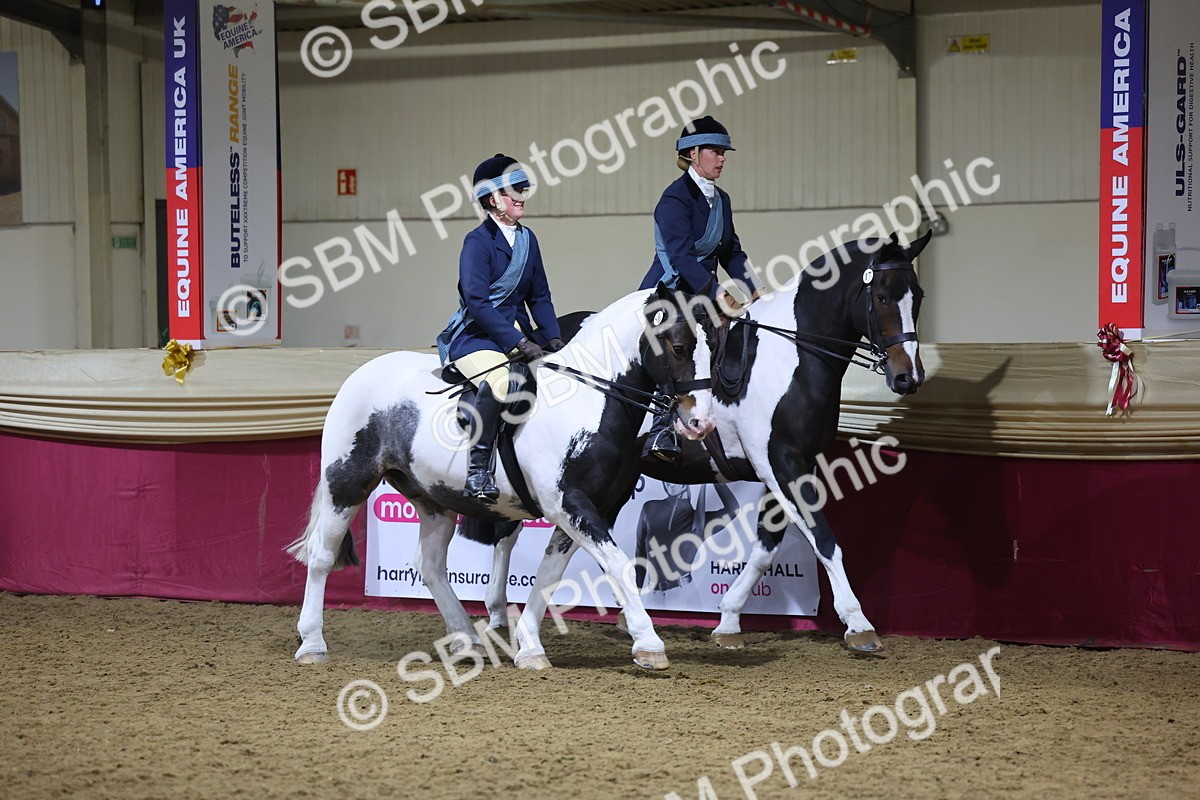 0B8A4314 - Class M Ridden Pairs Champ