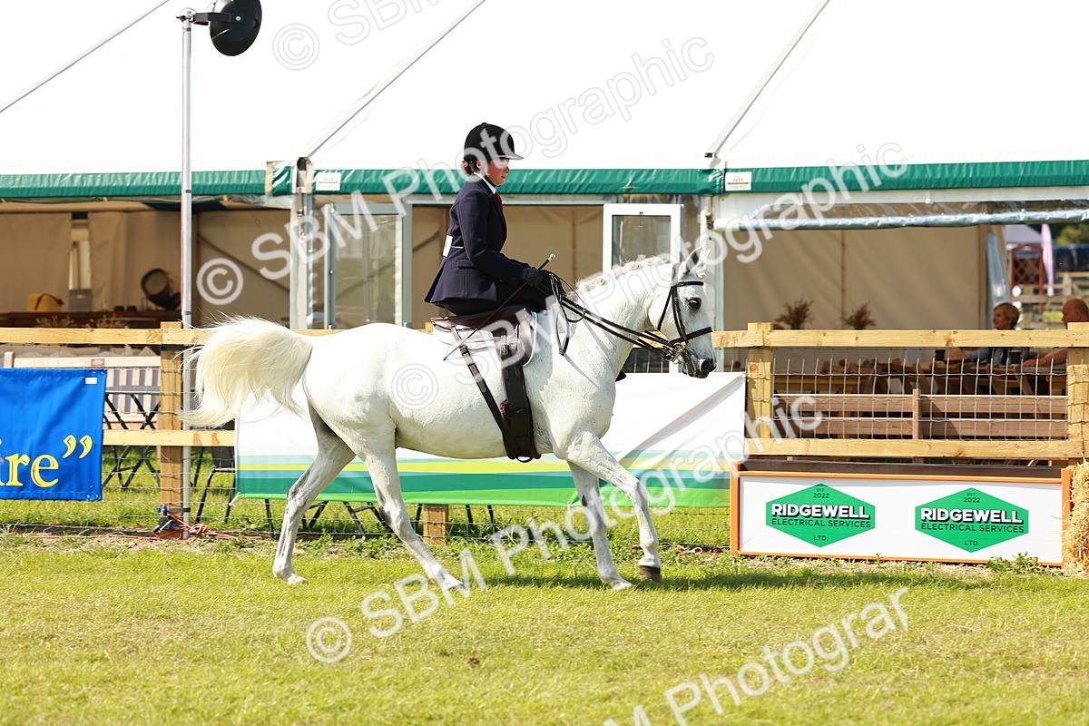 SBM_13157 - Class 70-71 - Side Saddle