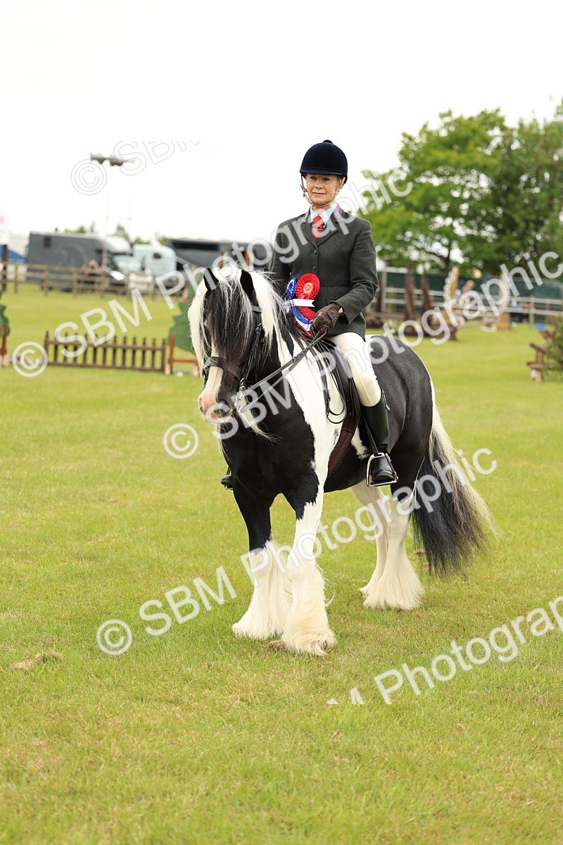 SBM_06332 - Class 39-41 TGCA In Hand and Ridden
