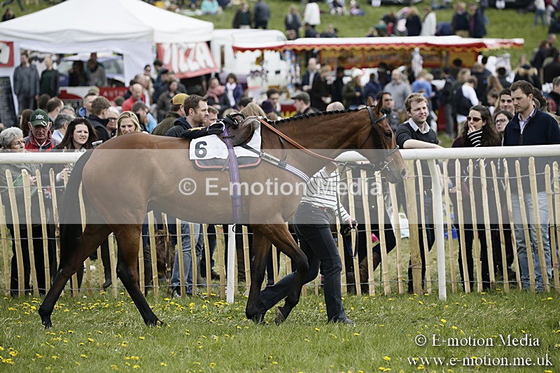 PtP 170417 213 - Old Berks Point-to-Point Lockinge 17/04/17
