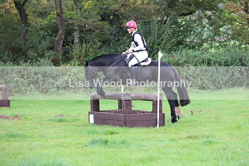 JPP_5377 - Class 4: 80cm: Crossed Logs