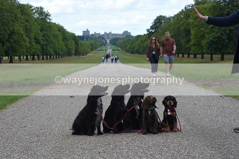 TT3_0481 - Time at Crossing 14:53 to 1526