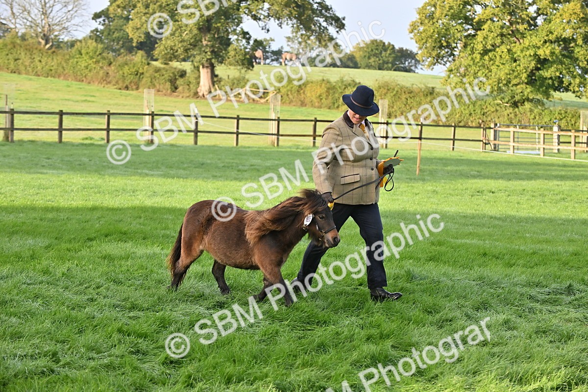 SBM_54649 - S44 - Youngstock In Hand