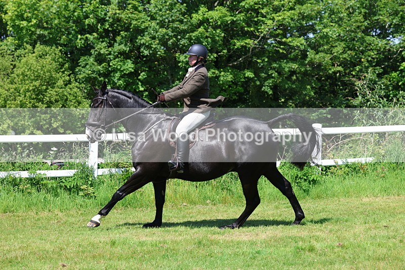 3E7A7257 - Class 30: Novice Working Hunter