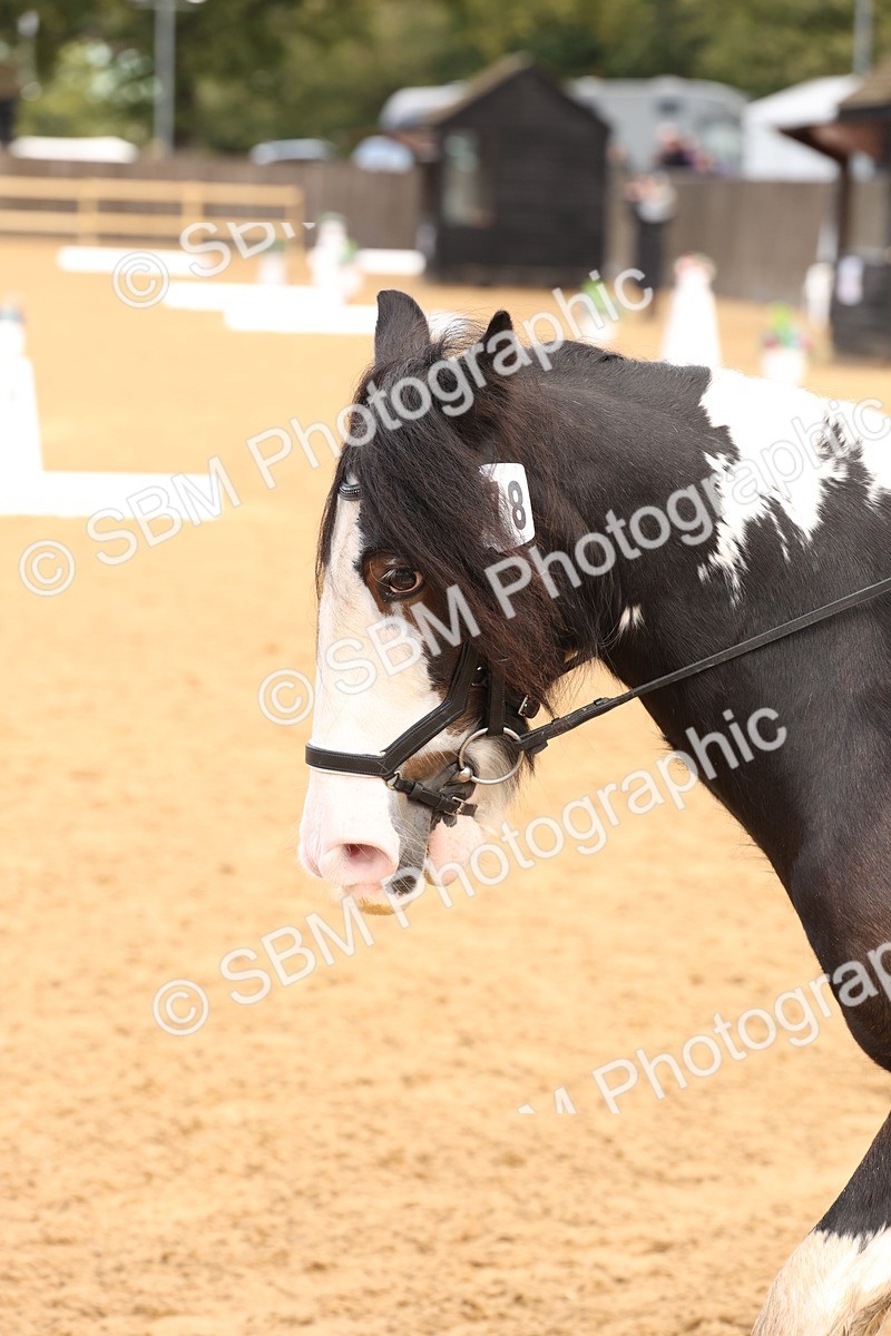 SBM_40688 - D6 - Small Tour Championship Intro 4