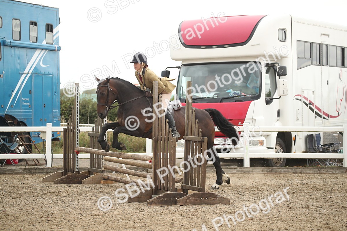 SBM_18402 - Class 509B - Working Veteran - 80cm (20+)