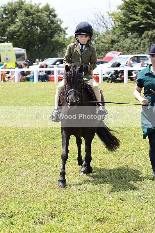 JPP_1877 - Class 18: Tiny Tots Working Hunter Pony