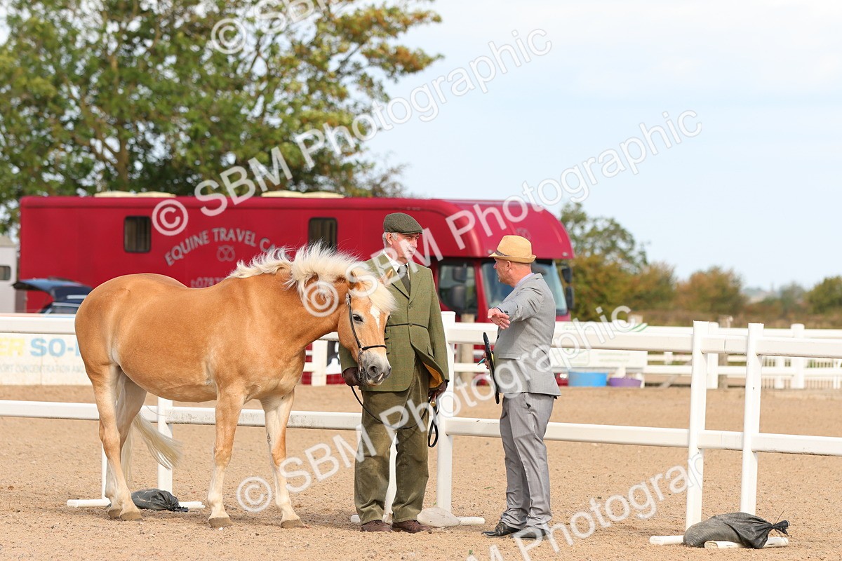 SBM_17990 - Class 707 - IH Groom - Helpers Glass