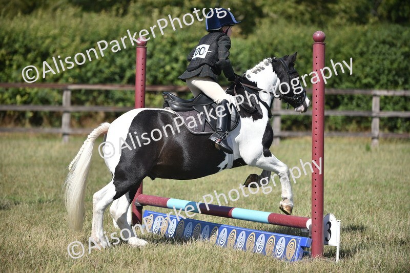 20260906-1403 - Class 8 - Hoof and Foot