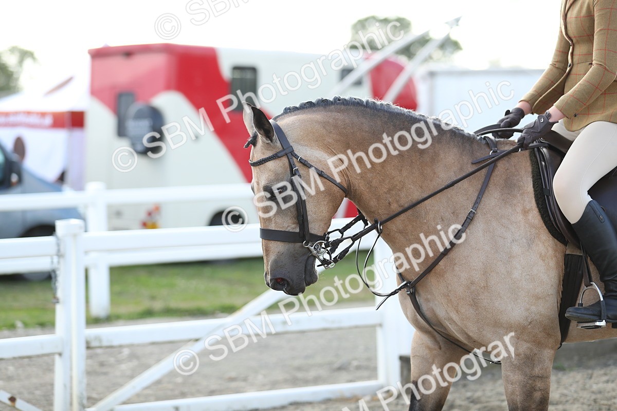 SBM_06988 - Class 49b Style & Performance 80cm (20+)