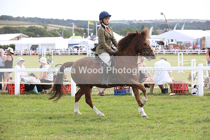 JPP_3898 - Class 23: Working Hunter 80cm