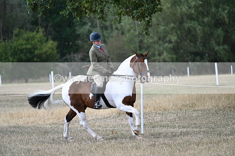 WJ7_7211 - Class 14 Ridden Coloured