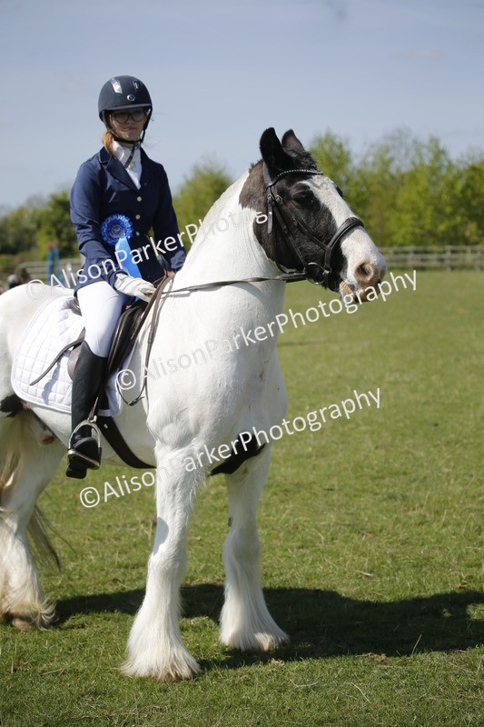 20250427-2364 - Class 13 - Novice Jumping 60cm